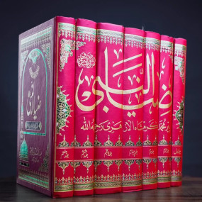 Lazy-loaded Zia ul Nabi